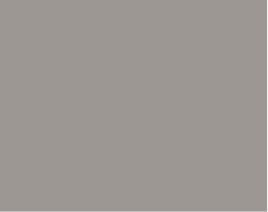 exterior-color
